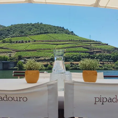 Pipadouro Vintage Wine Travel *